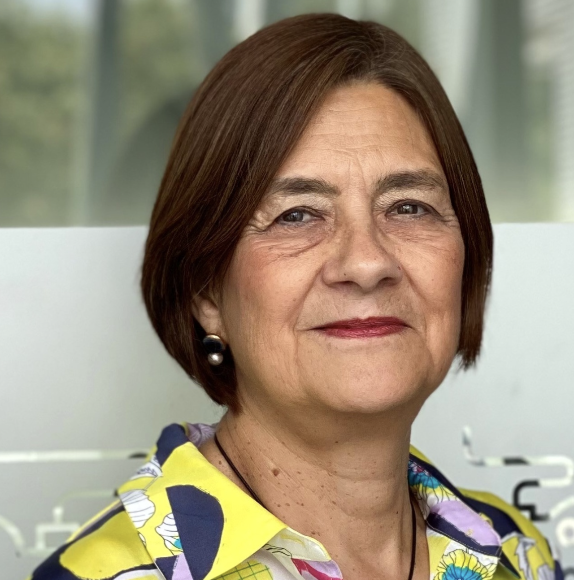 María de Lourdes Martínez Villaseñor